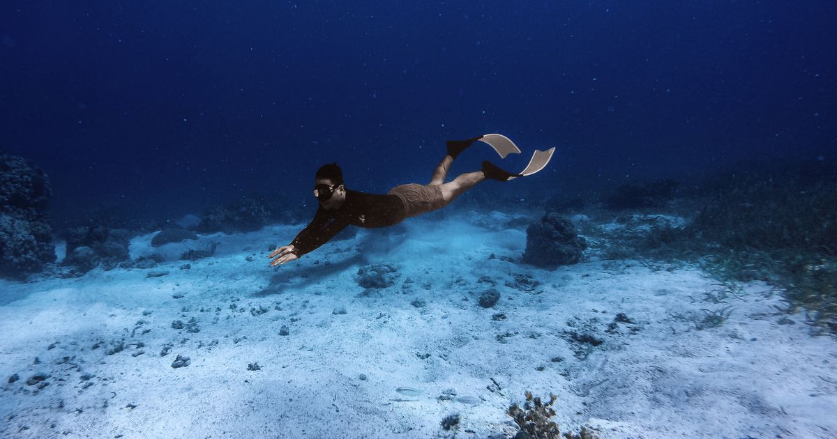 Swim Fins for Snorkeling: A Complete Buyer's Guide