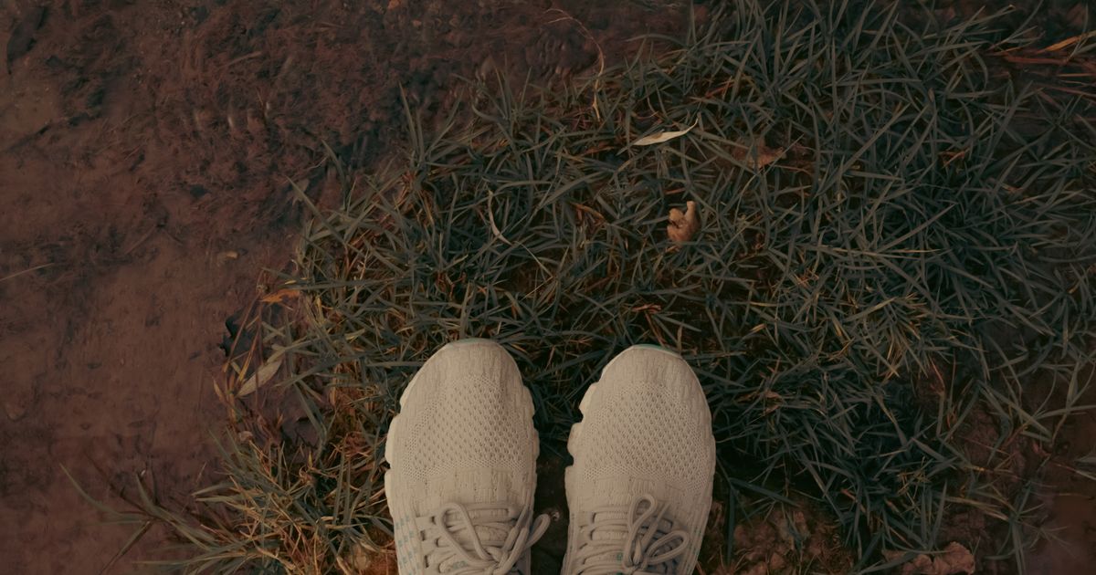 Quick Dry Water Shoes: A Complete Guide for Swimmers & Beachgoers