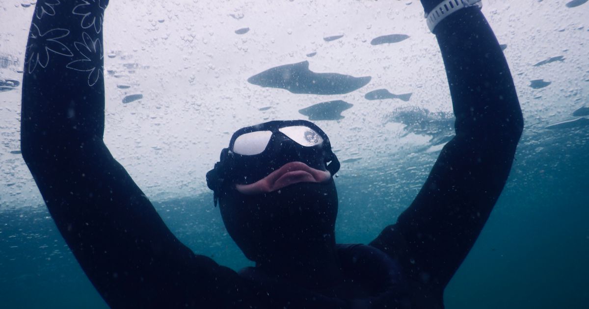 Best Diving Socks for Cold Water: A Complete Guide