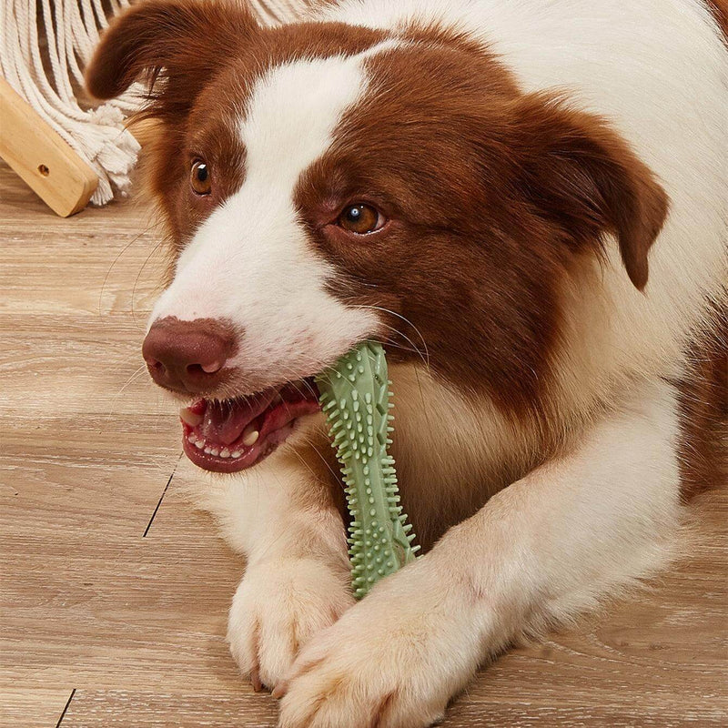 Dental Health Chew Toys for Dogs