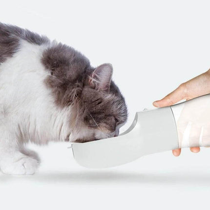 Portable Dog Water Bottle With Food Compartment For Travel showing a hand offering water and food to a pet cat at a walk