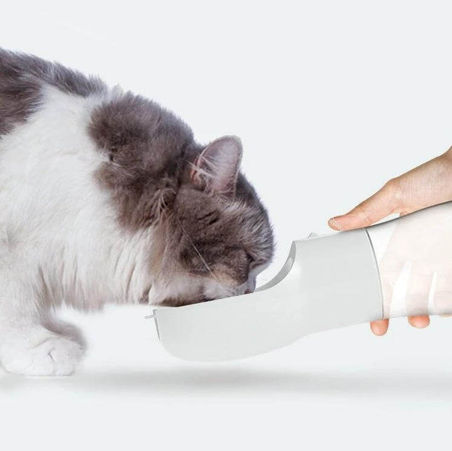 Portable Dog Water Bottle With Food Compartment For Travel showing a hand offering water and food to a pet cat at a walk