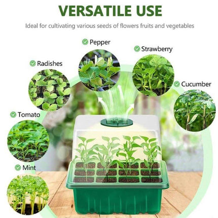 12-Hole Seedling Tray for Starting Seeds in Home Garden clear PET plastic with dome lid and vents showing seedlings and labeled crop examples