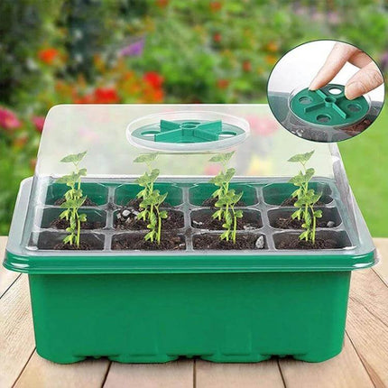 12-Hole Seedling Tray for Starting Seeds in Home Garden with clear PET dome, adjustable vent and young seedlings on windowsill