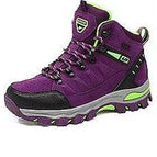Purple / 35