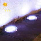 White Light