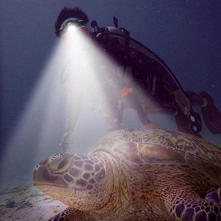 60m Depth Underwater Diving Headlamp For Photography illuminating sea turtle during night reef dive, hands-free 1000-lumen L2 beam, rugged aluminum body, IPX8