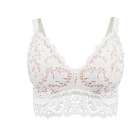 Lace full cup bra for women with cotton padding featuring intricate lace detailing for comfort and support