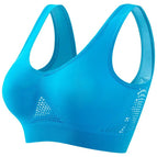 Lake Blue Ribbon Chest Pad / 2XL