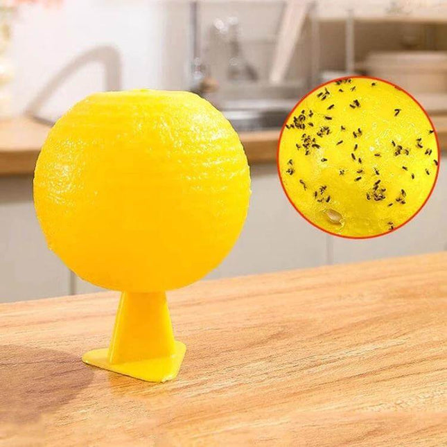 8cm Fruit Fly Balls Indoor Sticky Trap For Home Use on kitchen counter with fruit-flavor wick and trapped fruit flies