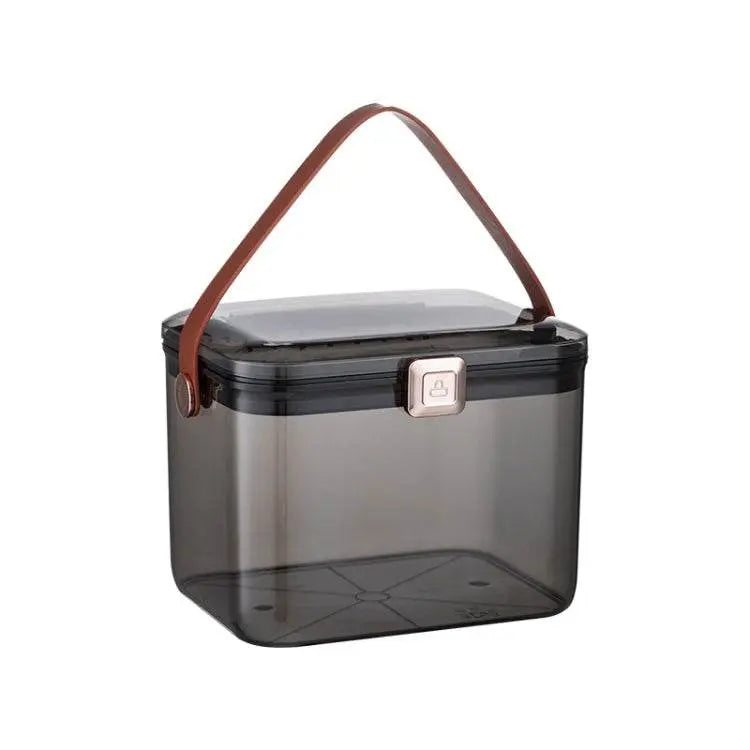 AA329 Large Capacity Double Layer Transparent Medicine Box