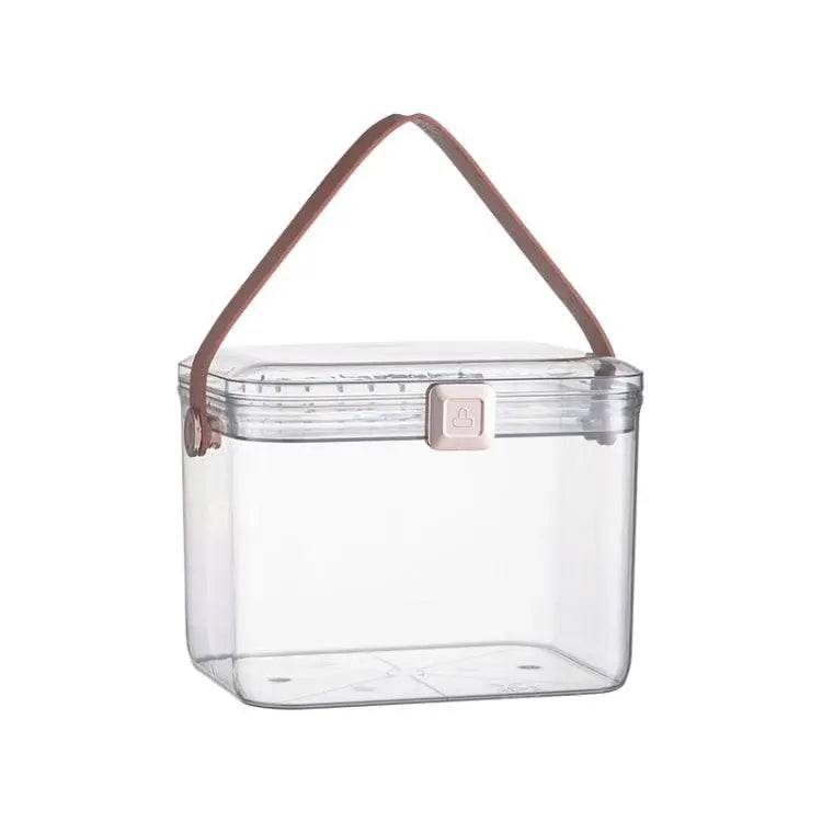 AA329 Large Capacity Double Layer Transparent Medicine Box