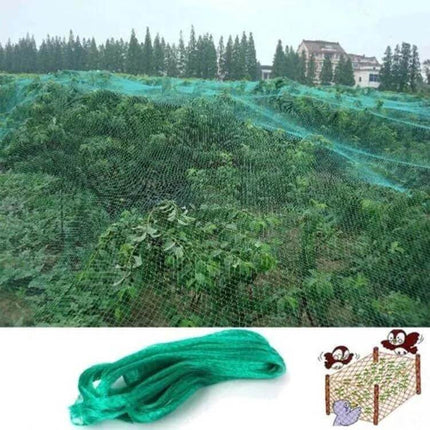 Anti Bird Protection Net Mesh Garden Plant Netting 4x12m draped over orchard and vegetable beds to protect crops from birds and small animals