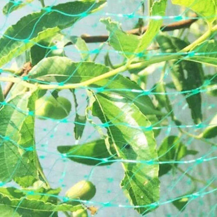 Anti Bird Protection Net Mesh Garden Plant Netting 4x12m covering fruit tree branches to prevent bird damage