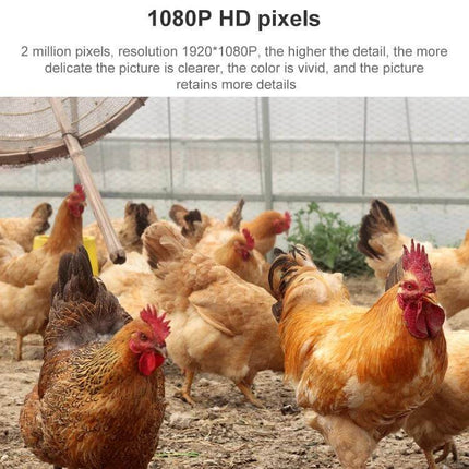 Wireless WiFi Dome Camera for Home Security Monitoring capturing clear 1080P HD footage of chickens in an outdoor coop with motion alerts