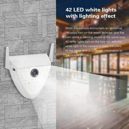 DP16 Outdoor Garden Smart Camera with Night Vision