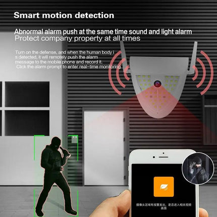 DP16 Outdoor Garden Smart Camera with Night Vision