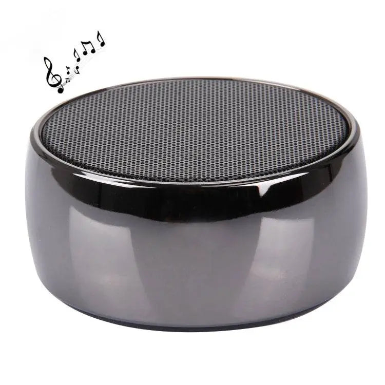 BS01 Portable Bluetooth Speaker with Hands-free Calls AUX IN