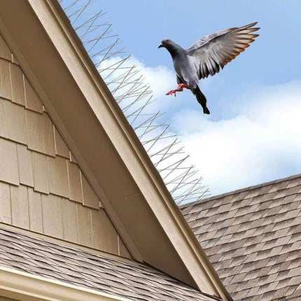 Bird Repellent Thorn Strips 50cm Long For Balconies installed on roof edge deterring pigeon in flight