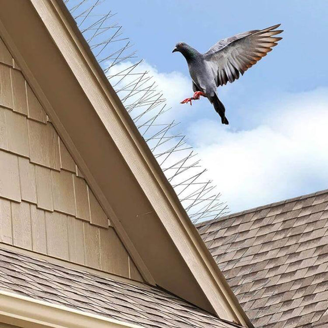Bird Repellent Thorn Strips 50cm Long For Balconies installed on roof edge deterring pigeon in flight