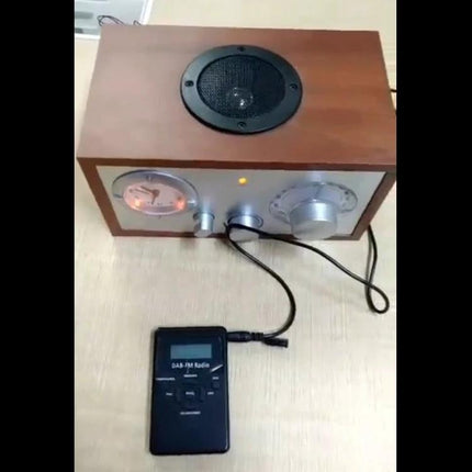 Portable Mini Digital DAB FM Radio with Lanyard and Headset showing compact black DAB/FM unit connected to wooden speaker dock, LCD screen and headphone jack
