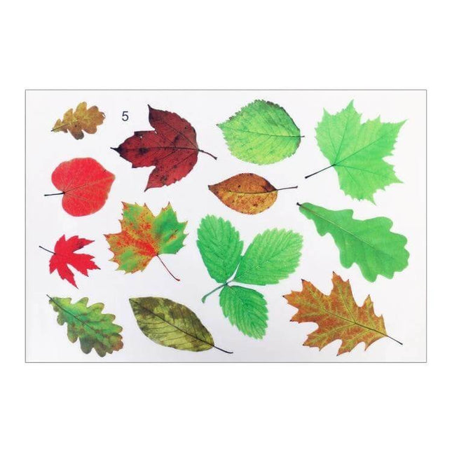 3D Personalized PVC Self-Adhesive Stickers for Car Decoration showing assorted colorful leaf-shaped PVC sticker designs for car body accents