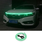 1.2m / Green Light