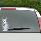 Smiling Cat / CMS3235B