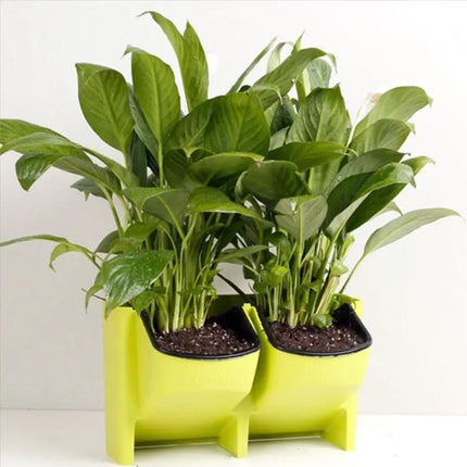 PP Planter Wall Hanging Pot For Indoor Gardens And Herbs