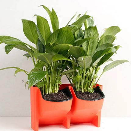 PP Planter Wall Hanging Pot For Indoor Gardens And Herbs