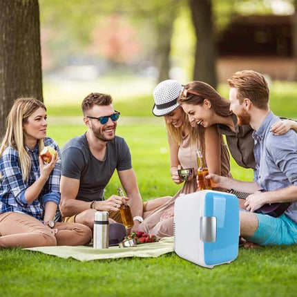 Vehicle Auto Portable Mini Cooler And Warmer 4L For Car on picnic keeping drinks and snacks chilled and warm
