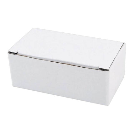 2-Piece LED License Plate Light 6000K For Mustangs packaged in plain white box for rear plate illumination upgrade