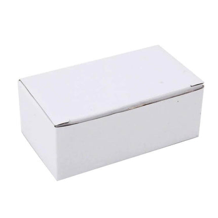 Two-Pack License Plate Light, White LED, Plug-and-Play in plain white retail box showing compact packaging for BMW E46 fitment