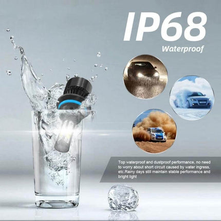 Car LED Headlight Bulbs 6000K For Everyday Driving - IP68 waterproof LED bulbs in glass showing rugged, bright 2500 lumen plug-and-play upgrade