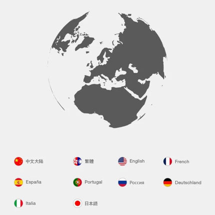 Handy Device for Everyday Car Maintenance and Diagnostics - globe icon with language selection flags
