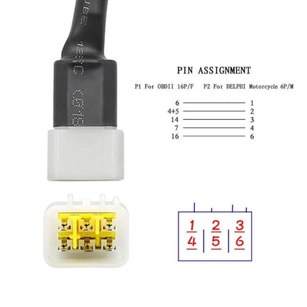 Essential DELPHI Cable for Daily Motorcycle Maintenance showing 6-pin DELPHI connector, pin assignment chart and close-up of plug