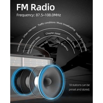 Android 10.1-Inch Car Navigation System with Phone and Steering Control displaying FM radio features and dual speaker visualization