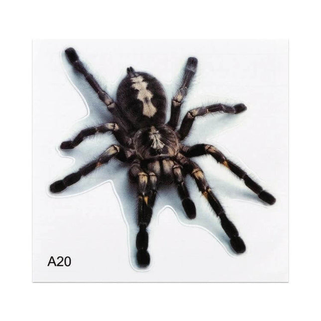 Animal Pattern Stickers for Car and Motorcycle Decoration - realistic tarantula PET decal for cars and motorcycles, easy apply peel-and-stick A20