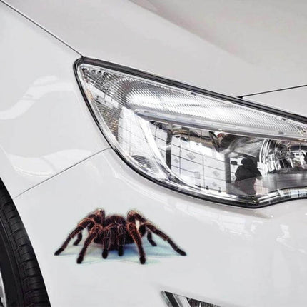 Animal Pattern Stickers for Decorating Cars and Motorcycles - tarantula spider decal on white car near headlight