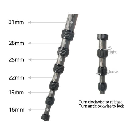 BEXIN Carbon Fiber Monopod for Portable Outdoor Photography showing 31mm to 16mm telescoping sections with twist-lock instructions