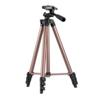 L-3130 Champagne Gold / Champagne Gold