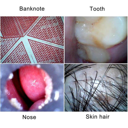 USB Digital Microscope for Close-Up Viewing with LED Illumination showing magnified banknote, tooth, nose and skin hair close-ups