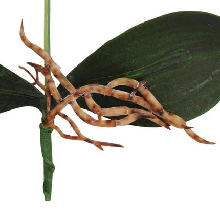 Decorative Landscaping Round Pot Three Flower Phalaenopsis Bonsai close-up of lifelike orchid roots and leaves in ceramic pot, ideal for low-maintenance decor