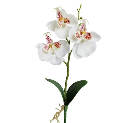 Decorative Landscaping Round Pot Three Flower Phalaenopsis Bonsai white cloth orchid arrangement in ceramic pot for low-maintenance indoor decor