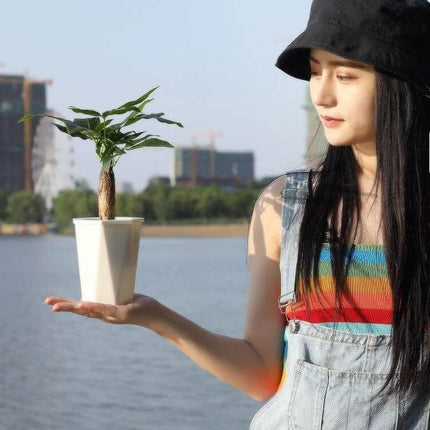 Diamond-Shaped Self-Watering Flower Pot, 12x14 cm Plastic held by woman outdoors, compact planter with planting basket and cotton rope