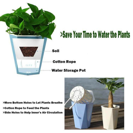 Diamond-Shaped Self-Watering Flower Pot, 12x14 cm Plastic showing soil, cotton rope, and water storage pot for low-maintenance indoor plants