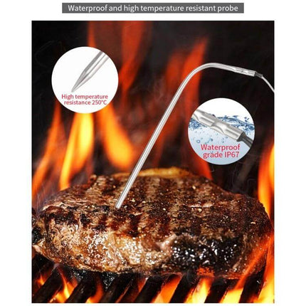 Digital Kitchen Thermometer With Color Screen For Baking inserted probe in steak on grill showing waterproof high-temperature probe
