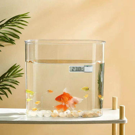 Digital Wireless Aquarium Thermometer With External LCD attached to outside of fish tank showing 23.8°C on high-brightness LCD