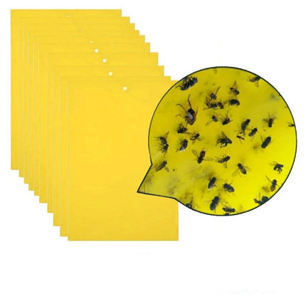 Double-Sided Sticky Insect Board For Melon Fruit Flies – yellow double-sided sticky trap sheets with hanging hole, shown trapping melon fruit flies