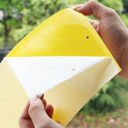 Double-Sided Sticky Insect Board For Melon Fruit Flies showing hands peeling protective film from sticky yellow trap with hanging hole